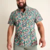 The Bloomerang