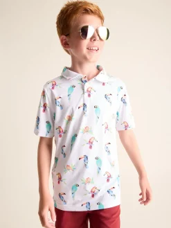 The Dude Where's Macaw