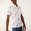 The Dude Where's Macaw