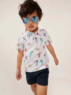 The Dude Wheres Macaw