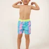 The Lil Dino Delights