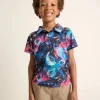 The Lil Galactic Odyssey