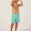 The Lil Swimmers