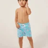 The Mini Mingos