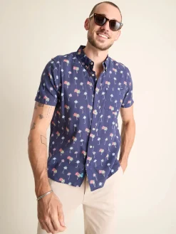 The Palm Palm Daddy