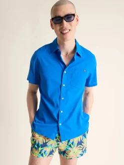 The Radiant Blue