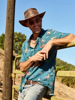 The Wild West